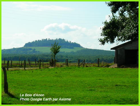 bois-d'anon