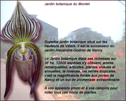 montet