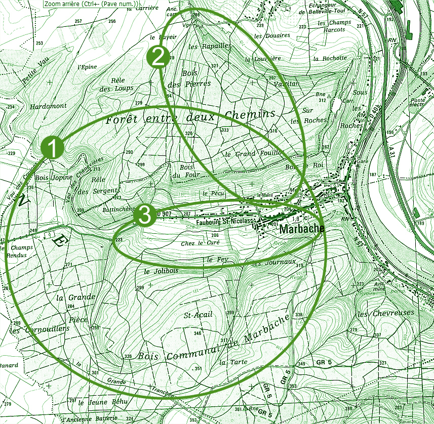 carte