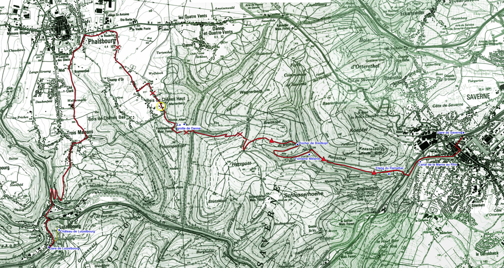 carte